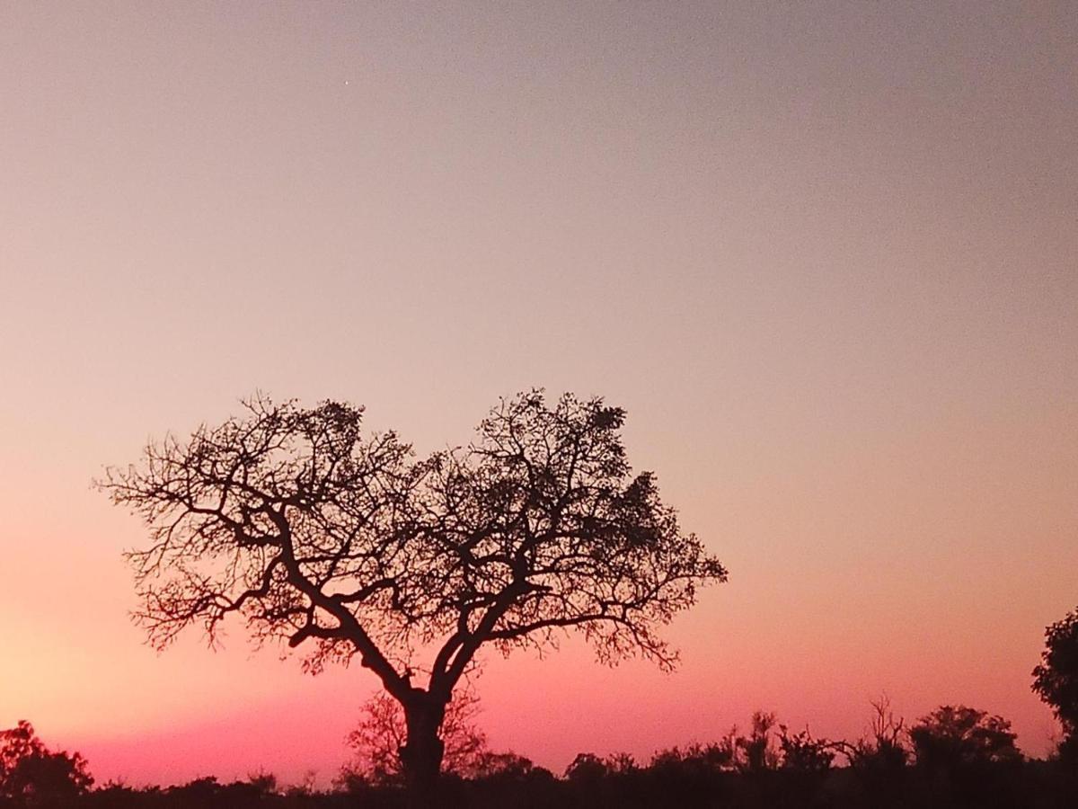 Marloth Kruger View Διαμέρισμα Marloth Park Εξωτερικό φωτογραφία