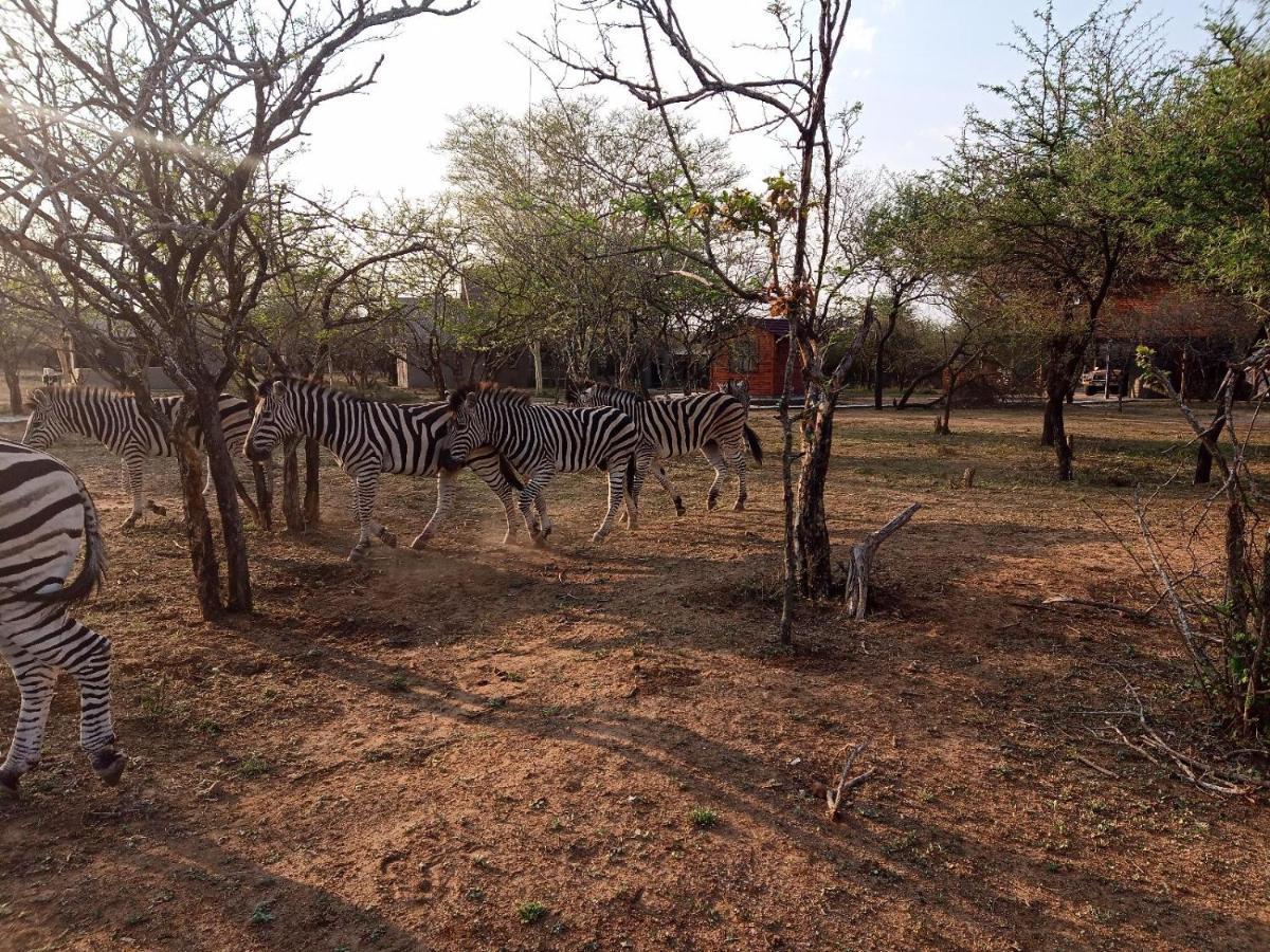 Marloth Kruger View Διαμέρισμα Marloth Park Εξωτερικό φωτογραφία