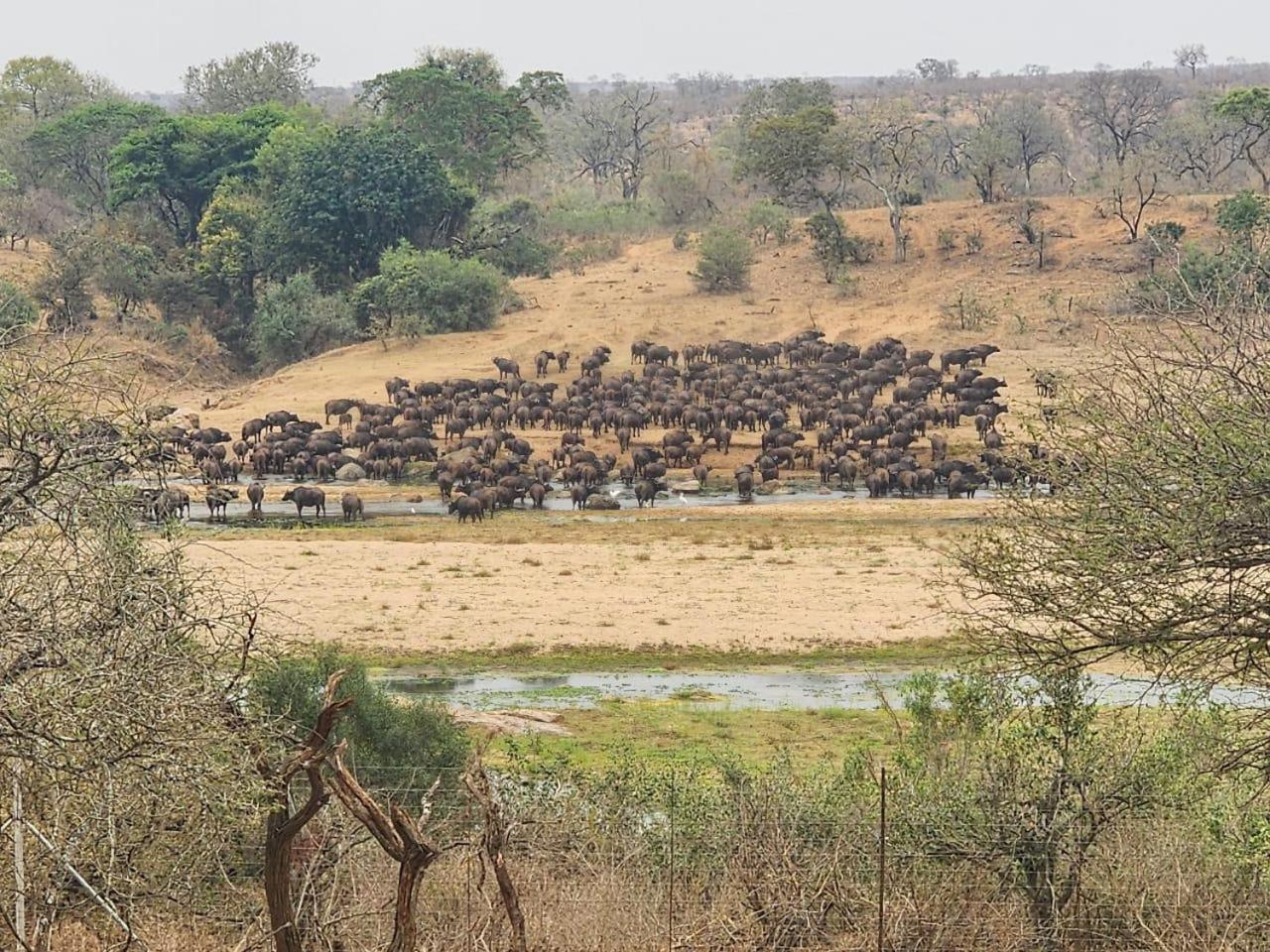Marloth Kruger View Διαμέρισμα Marloth Park Εξωτερικό φωτογραφία